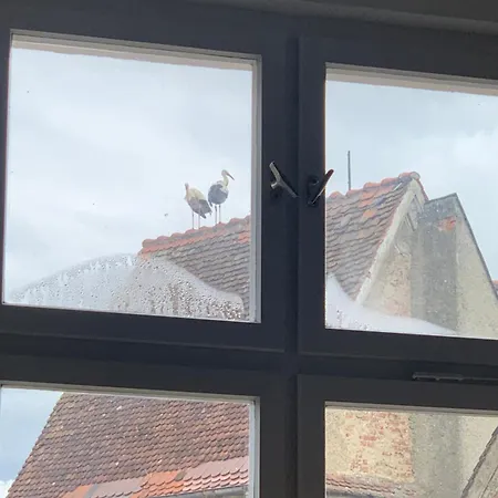 Lägenhet Cozy In A Historic House *